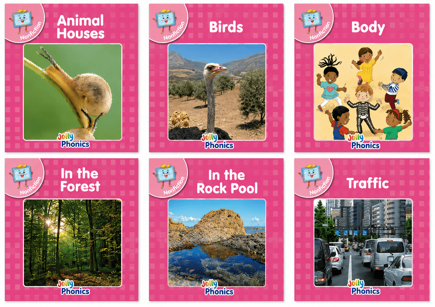 Level 0 Non-Fiction (Pack of 6) PINK